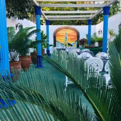 Patio 1